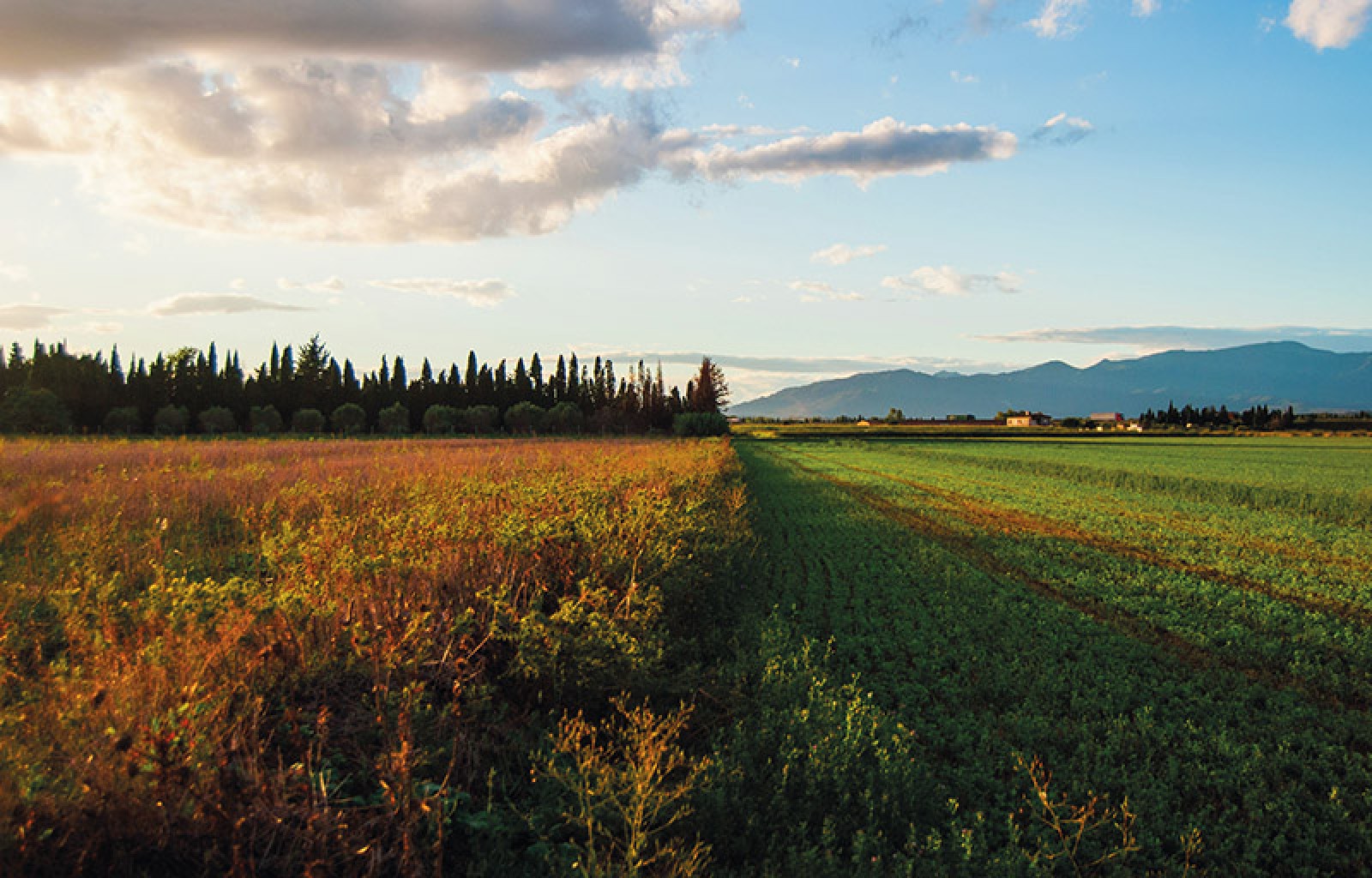Paisatge de l’Empordà