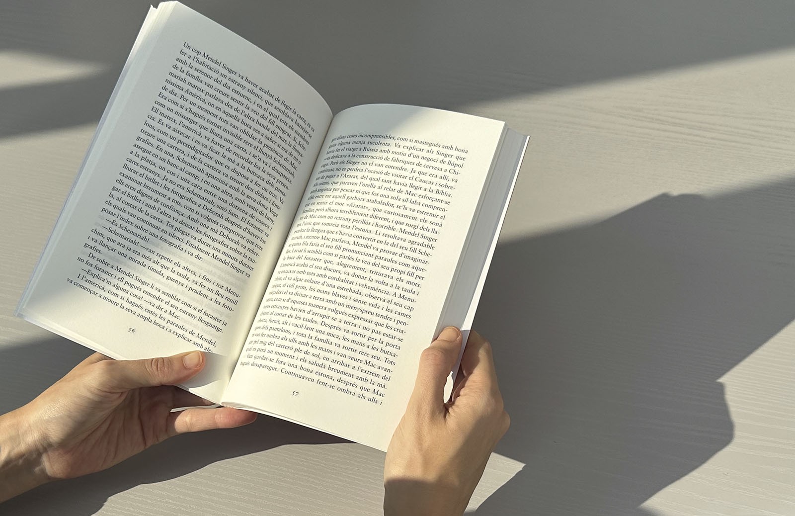 Imatge il·lustrativa