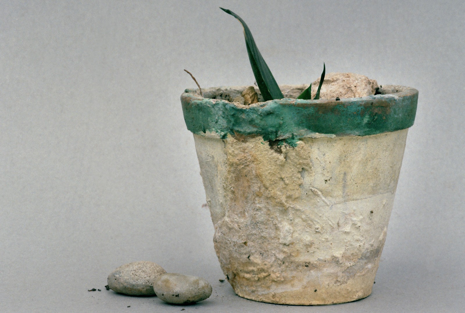 Cossiol núm. 10, 1985, Toni Catany 