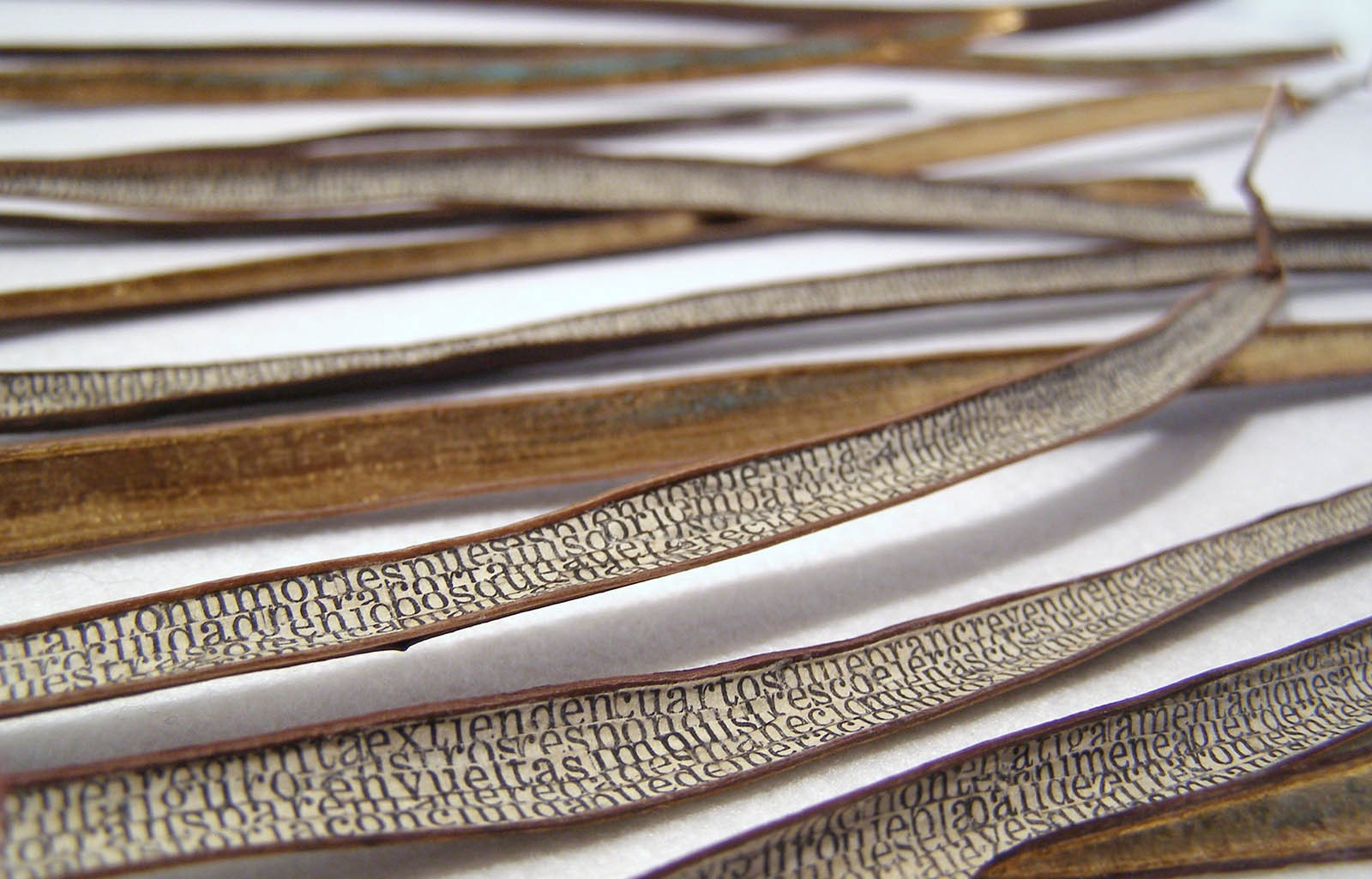 Femme Gaine (2013.) Cedida per Mar Arza a La Virreina.