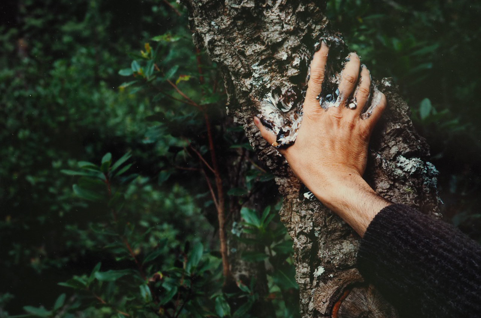 Perejaume, Suro, mà que palpa una escorça de suro amb un tou de pintura del mateix color del suro entremig. (2008) 
