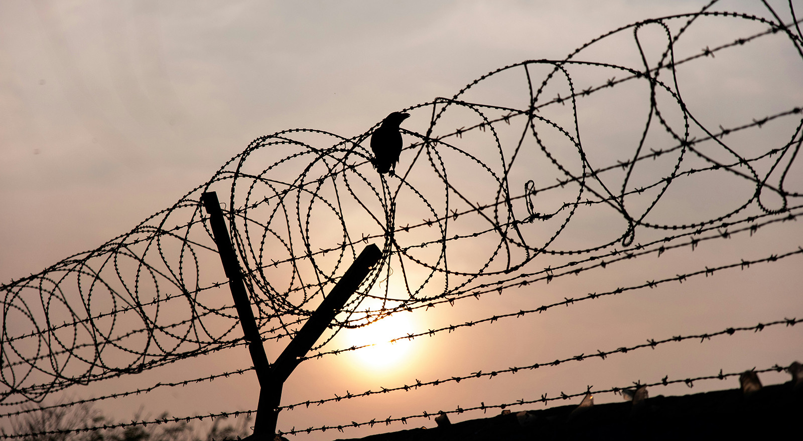 Imatge il·lustrativa